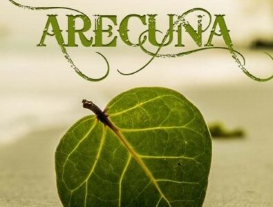 Imagen de portada Arecuna (Aventura 1)