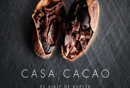 Imagen de portada Casa Cacao