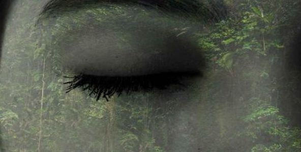 Imagen de portada La guardiana del bosque