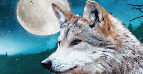 Imagen de portada La Luna es de los lobos
