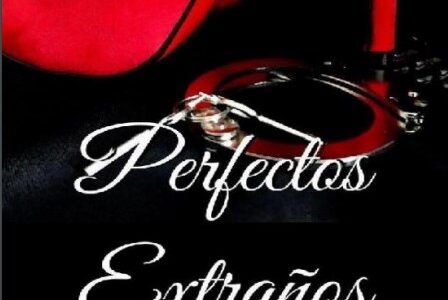 Imagen de portada Perfectos Extranos