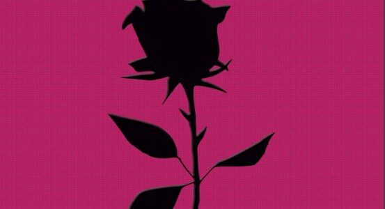 Imagen de portada Sasha. la rosa negra