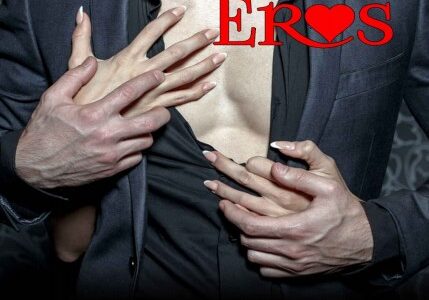 Imagen de portada Seduciendo a Eros