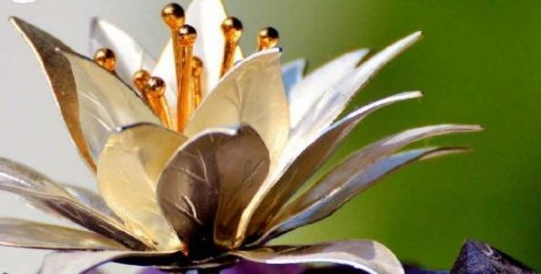 Imagen de portada Selene, flor de cristal