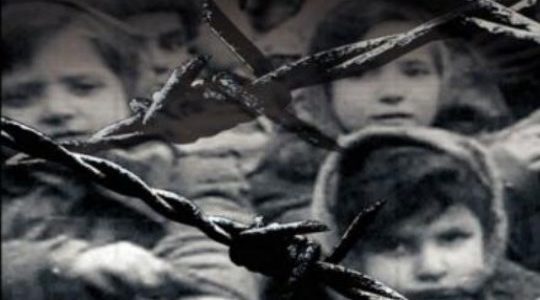 Imagen de portada Sobreviviendo En Auschwitz 