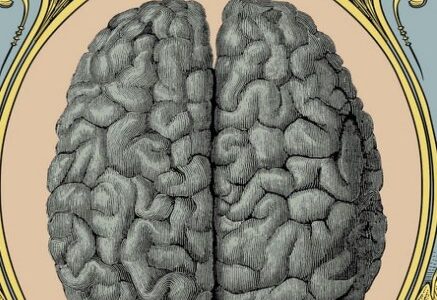 Imagen de portada Una historia insolita de la neurologia